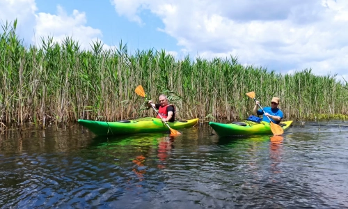 Kajak Rezervat Zasavica 29